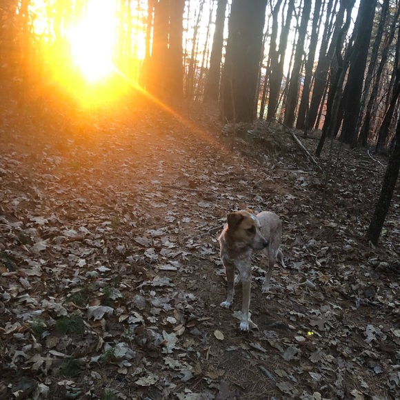 Meet your Posher, Tatsiana - Picture 7 of 9